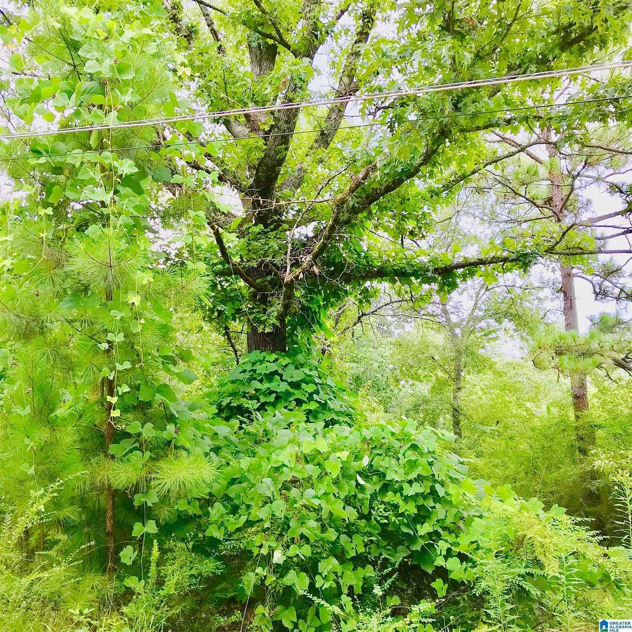 29.8 Acres of Land for Sale in Chelsea, Alabama