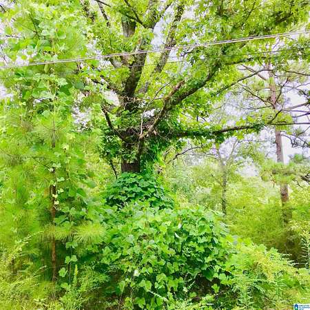 29.8 Acres of Land for Sale in Chelsea, Alabama