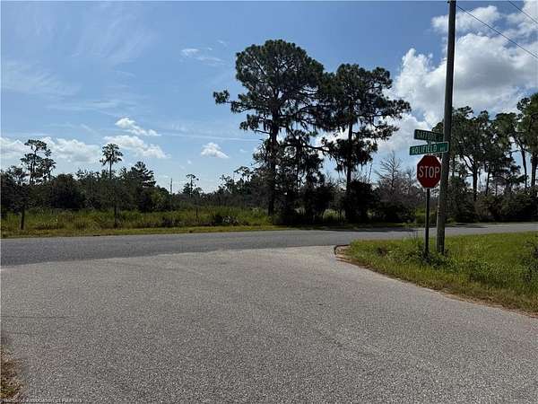 0.29 Acres of Residential Land for Sale in Lake Placid, Florida