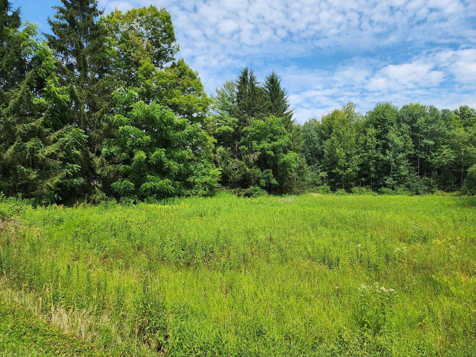 5.4 Acres of Residential Land for Sale in Findley Lake, New York