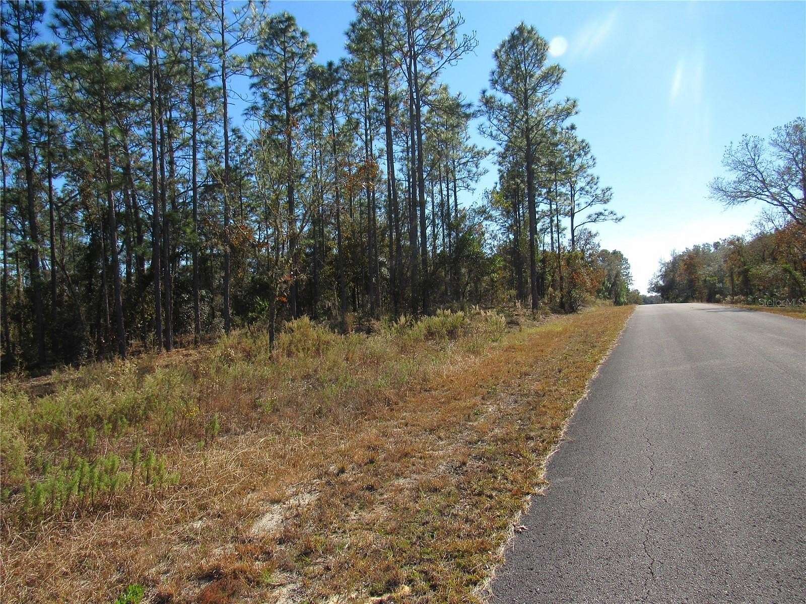 0.99 Acres of Residential Land for Sale in Dunnellon, Florida