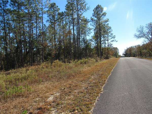 0.99 Acres of Residential Land for Sale in Dunnellon, Florida