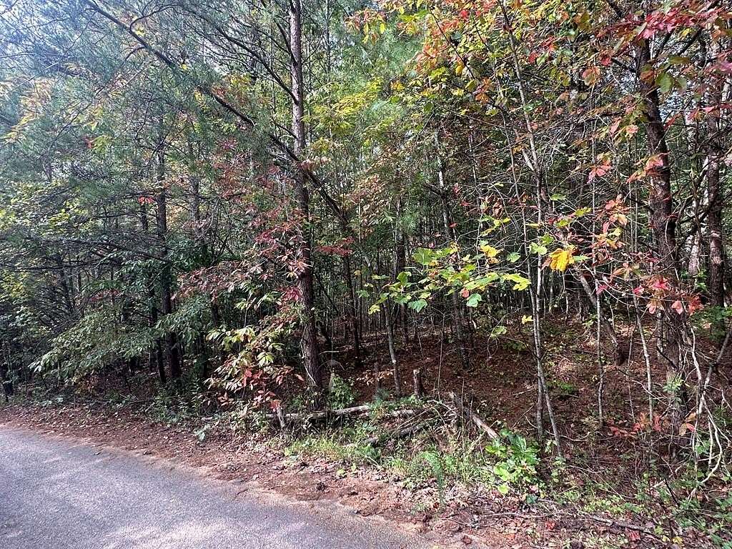 1 Acre of Land for Sale in Epworth, Georgia
