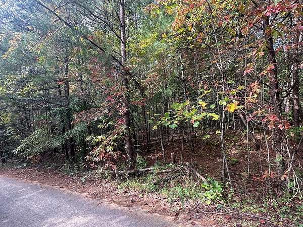 1 Acre of Land for Sale in Epworth, Georgia
