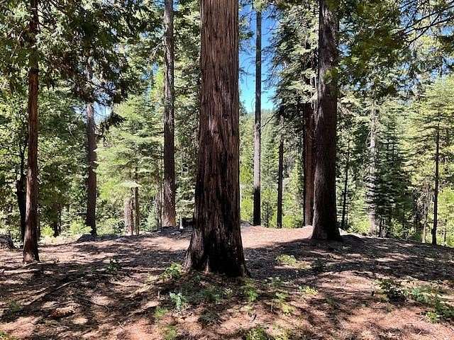 Residential Land for Sale in Dorrington, California