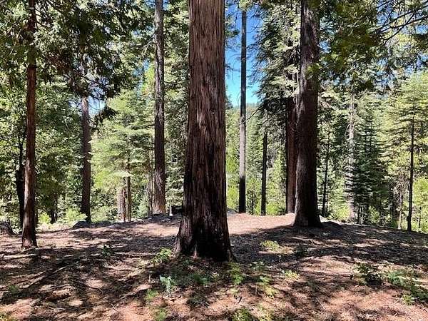 Residential Land for Sale in Dorrington, California