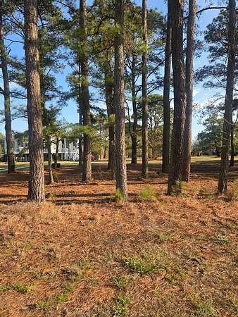 0.3 Acres of Residential Land for Sale in Chincoteague, Virginia