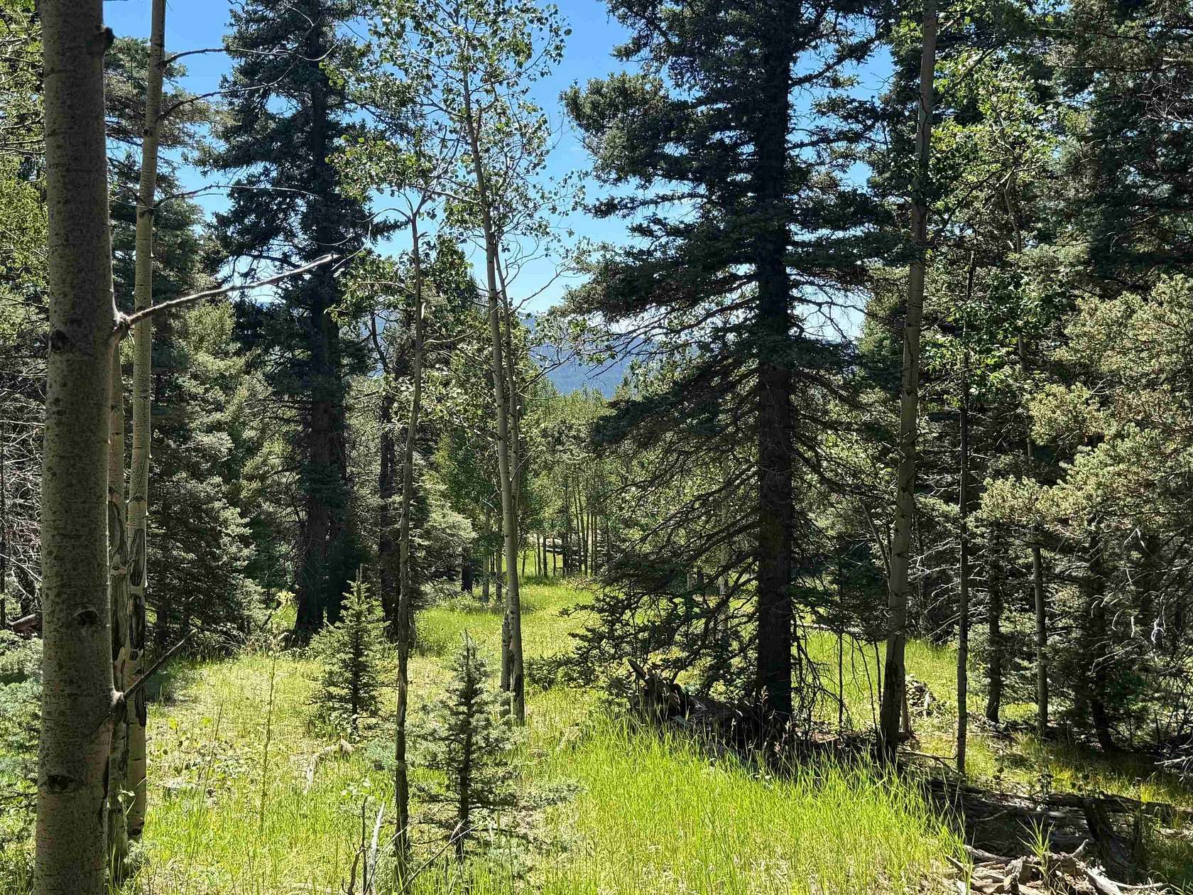 0.76 Acres of Residential Land for Sale in Angel Fire, New Mexico
