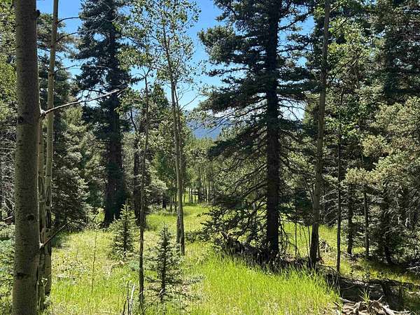 0.76 Acres of Residential Land for Sale in Angel Fire, New Mexico