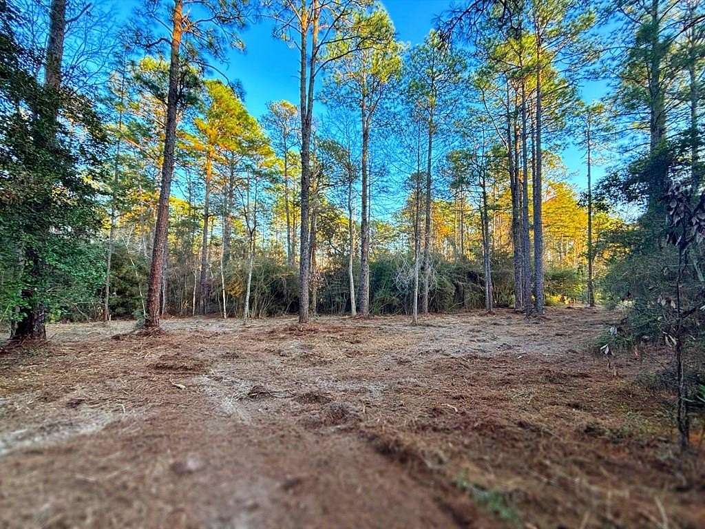 0.18 Acres of Land for Sale in Brookeland, Texas