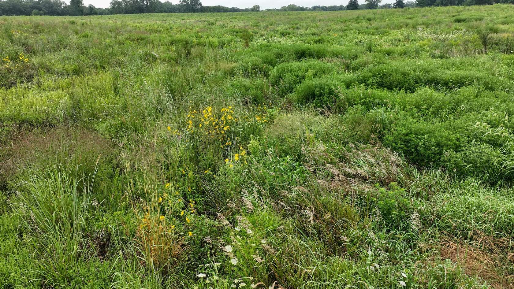 30.8 Acres of Recreational Land & Farm for Sale in Colfax, Iowa