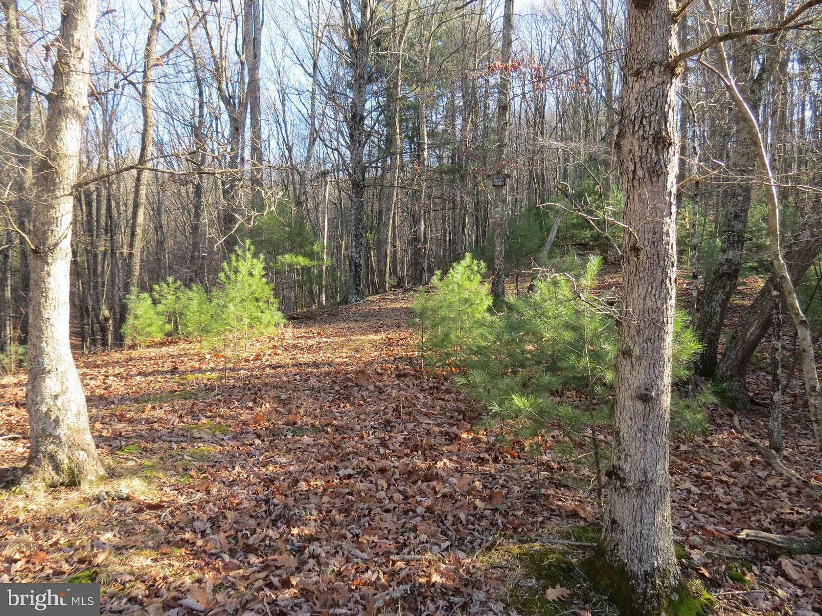 2.17 Acres of Land for Sale in Mathias, West Virginia