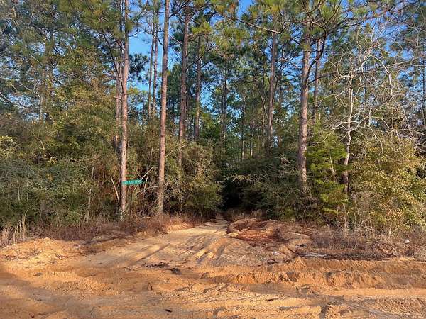 0.55 Acres of Residential Land for Sale in DeFuniak Springs, Florida