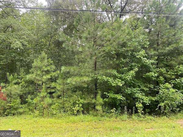 4 Acres of Land for Sale in Grantville, Georgia