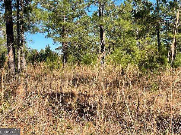 1.12 Acres of Residential Land for Sale in Waynesville, Georgia