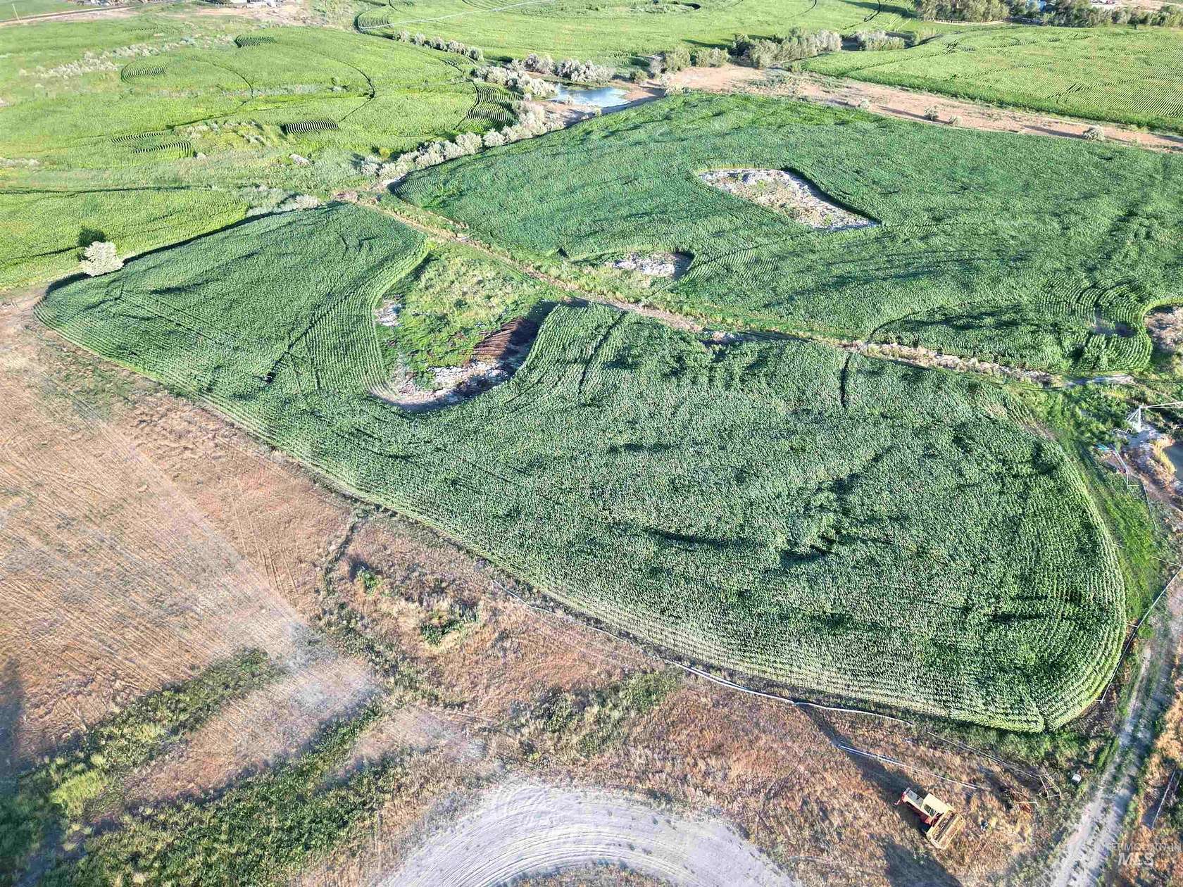 23.8 Acres of Agricultural Land for Sale in Wendell, Idaho