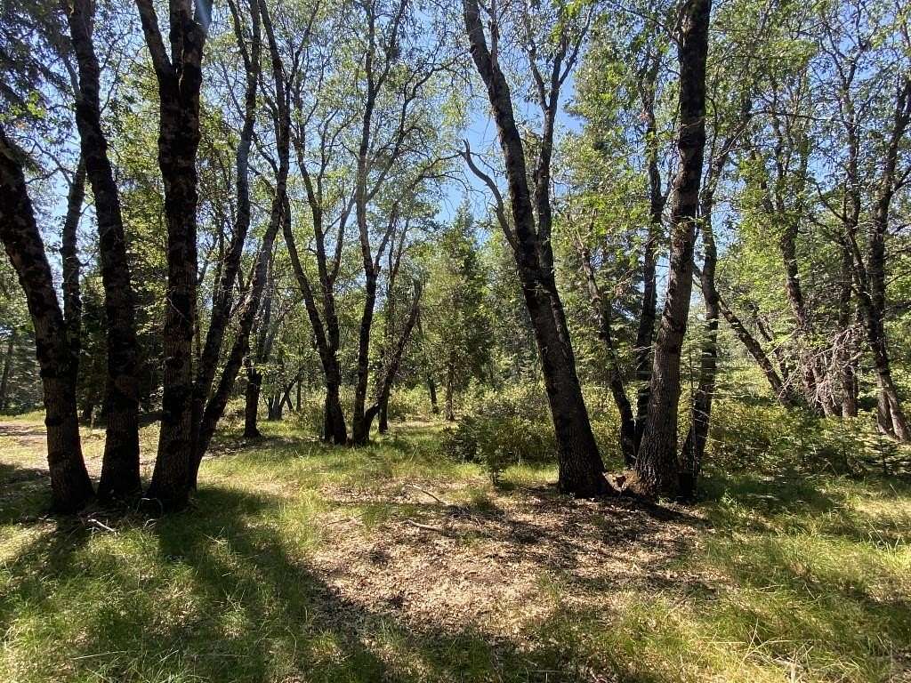 2.5 Acres of Land for Sale in McCloud, California