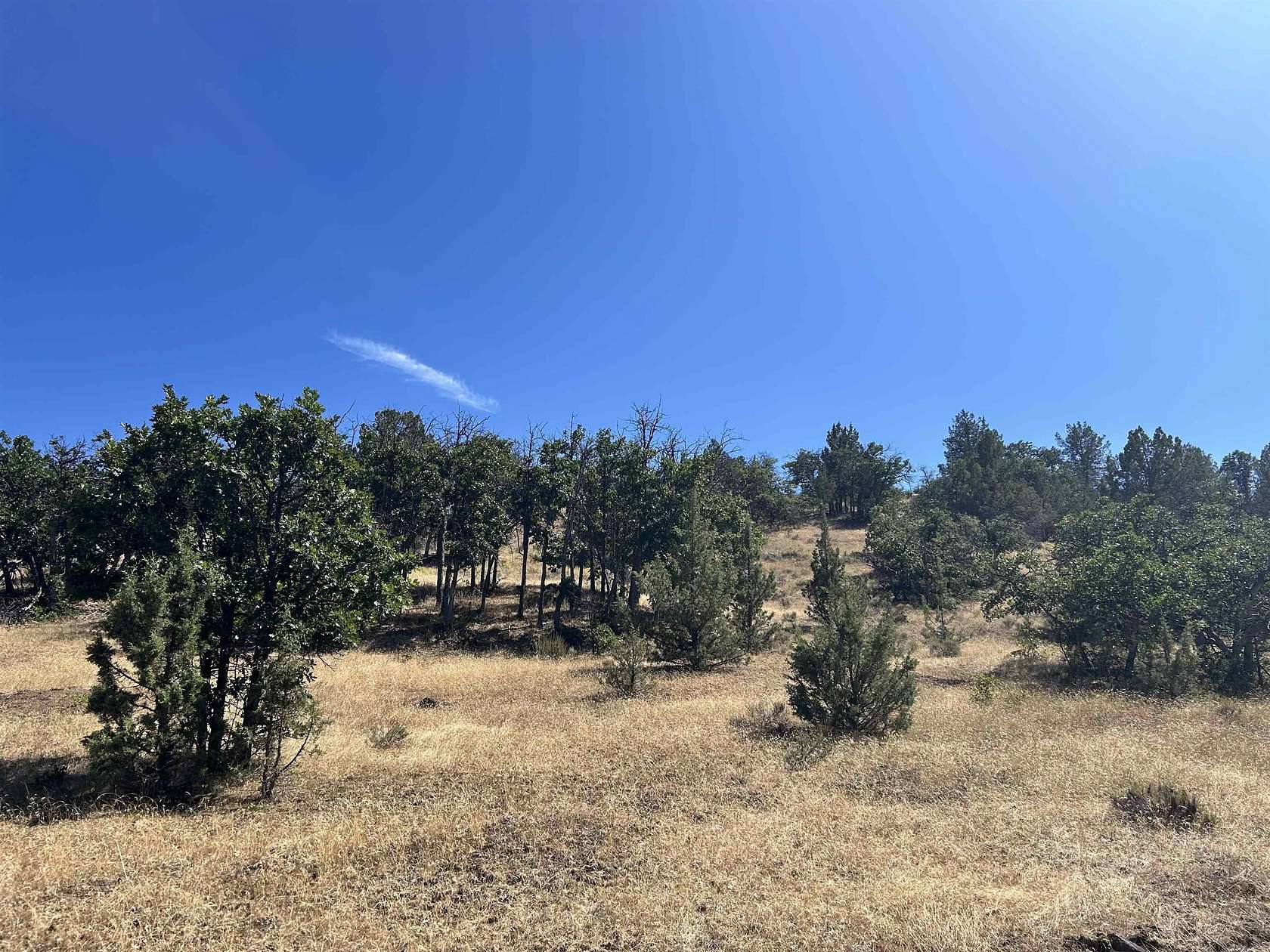 5 Acres of Land for Sale in Hornbrook, California