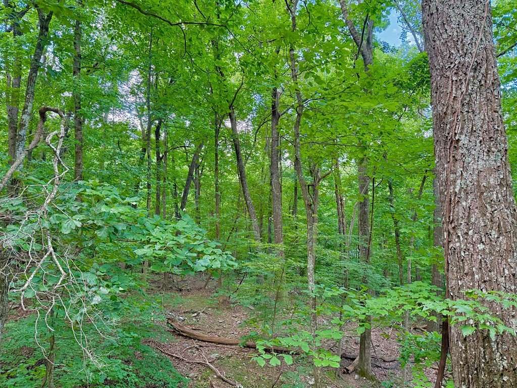 0.46 Acres of Land for Sale in Jasper, Georgia