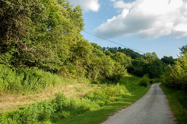 57 Acres of Land for Sale in Hickman, Tennessee