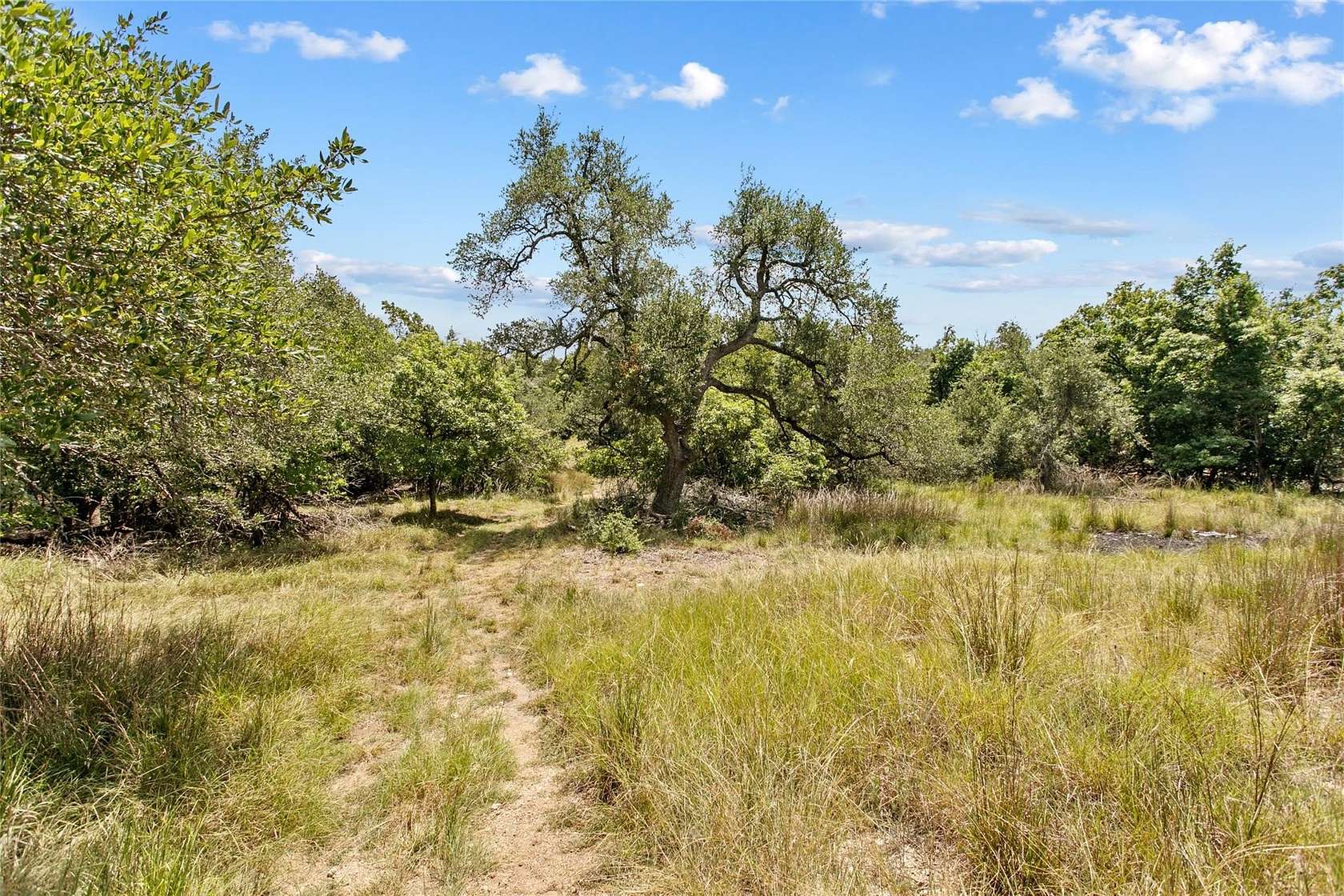 5 Acres of Residential Land for Sale in Dripping Springs, Texas