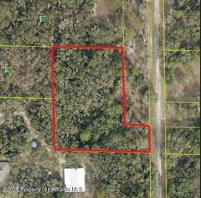 1.86 Acres of Residential Land for Sale in Webster, Florida