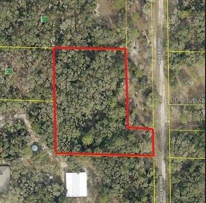 1.86 Acres of Residential Land for Sale in Webster, Florida