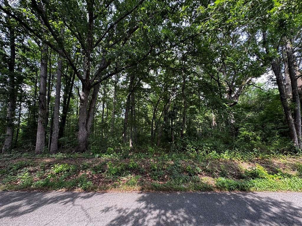 49.1 Acres of Recreational Land for Sale in Chatham, Virginia