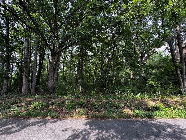 49.1 Acres of Recreational Land for Sale in Chatham, Virginia