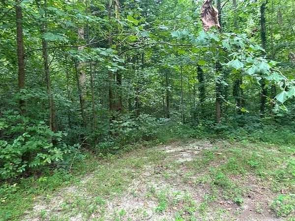 13.3 Acres of Recreational & Residential Land for Sale in Warsaw, Virginia