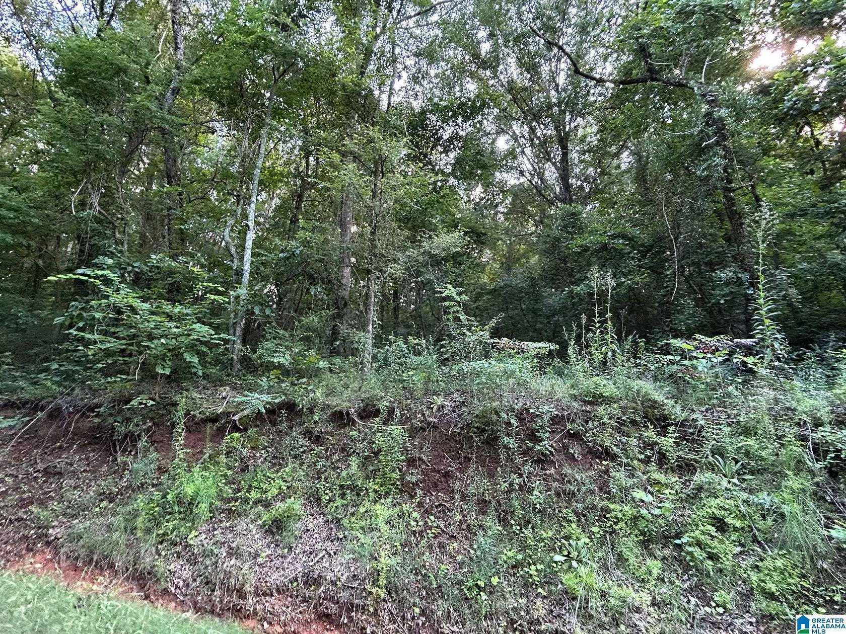 13 Acres of Land for Sale in Alexandria, Alabama