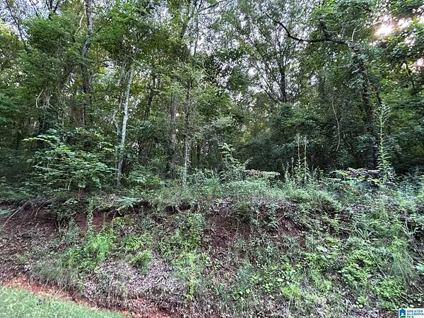 13 Acres of Land for Sale in Alexandria, Alabama