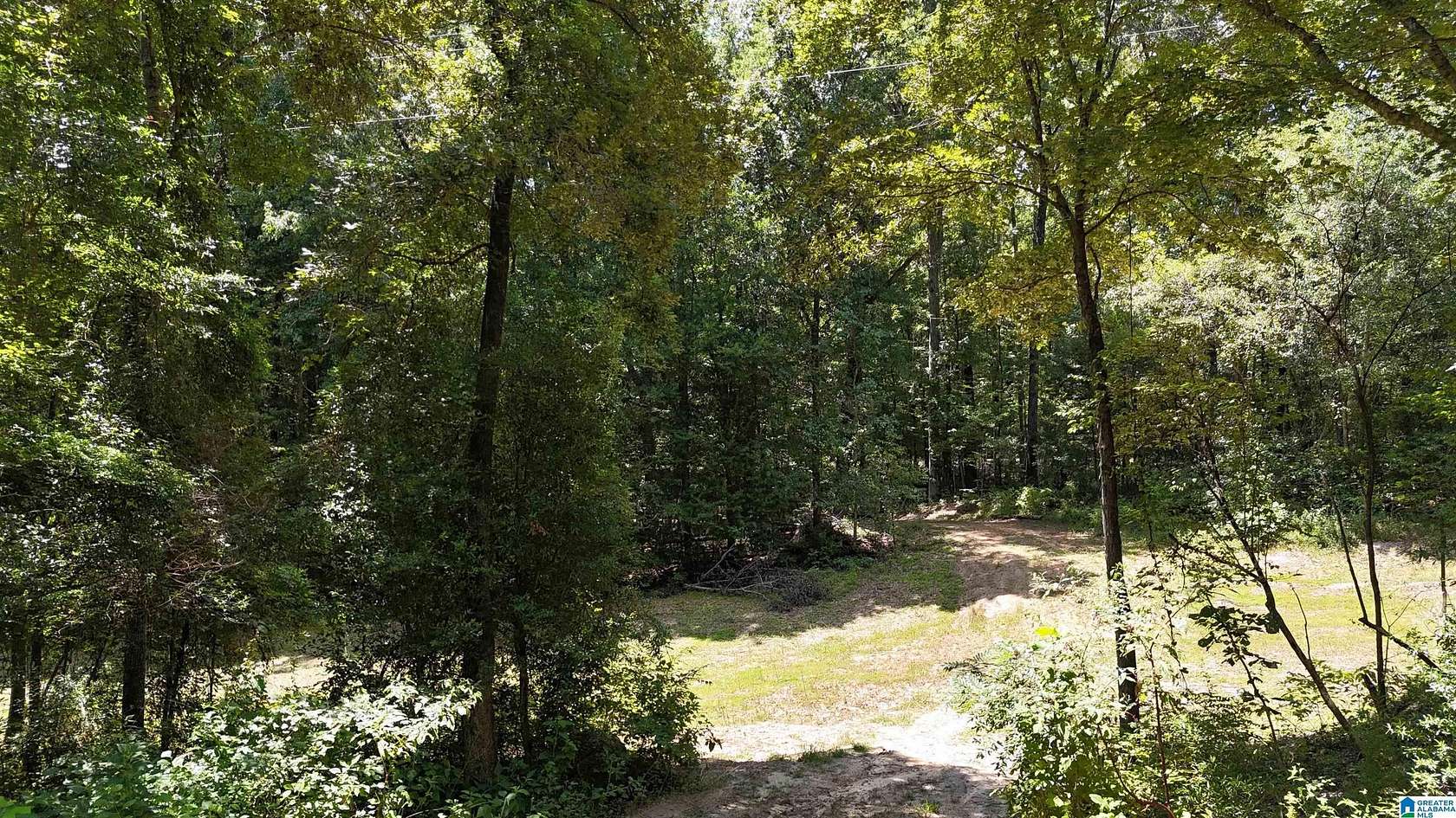 5 Acres of Residential Land for Sale in Centreville, Alabama
