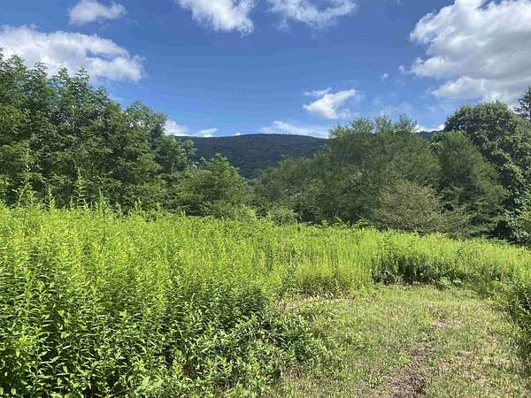 4.68 Acres of Land for Sale in Slaty Fork, West Virginia