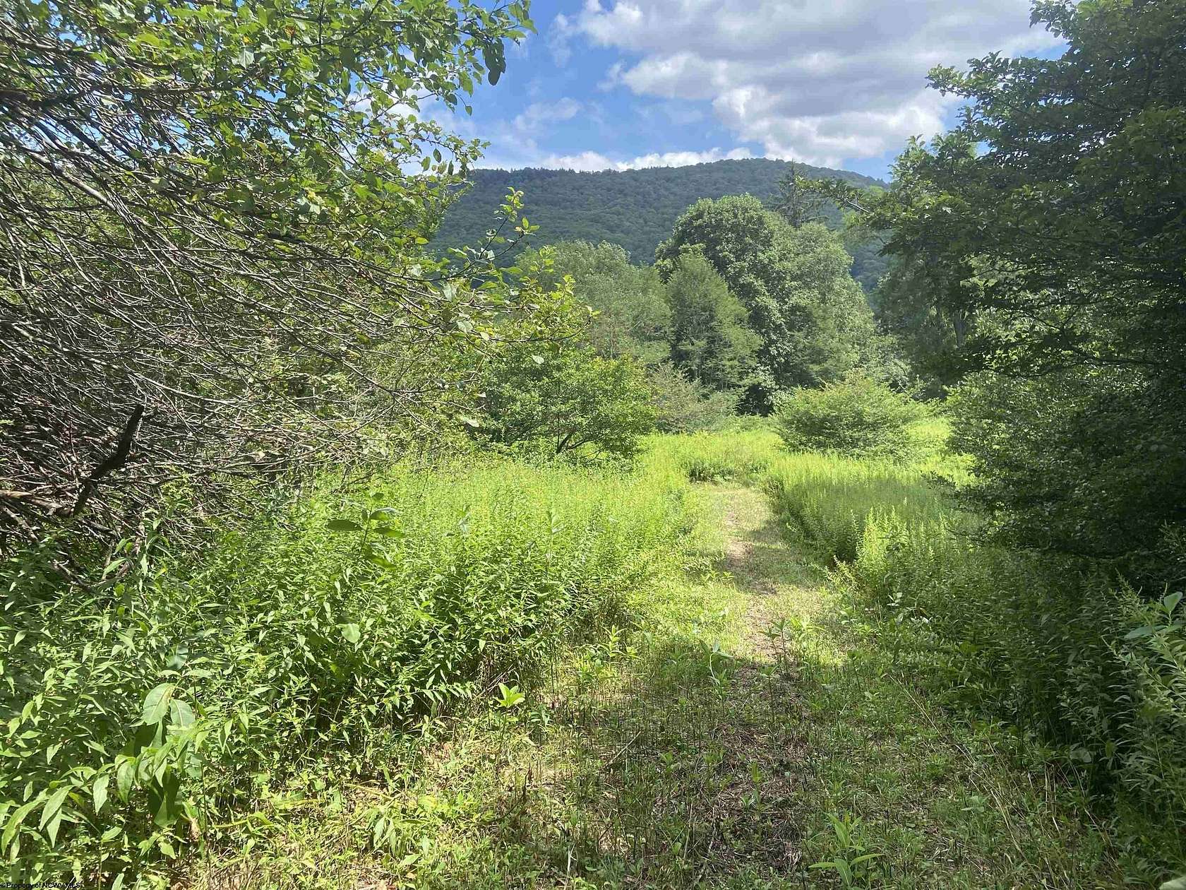 5 Acres of Land for Sale in Slaty Fork, West Virginia