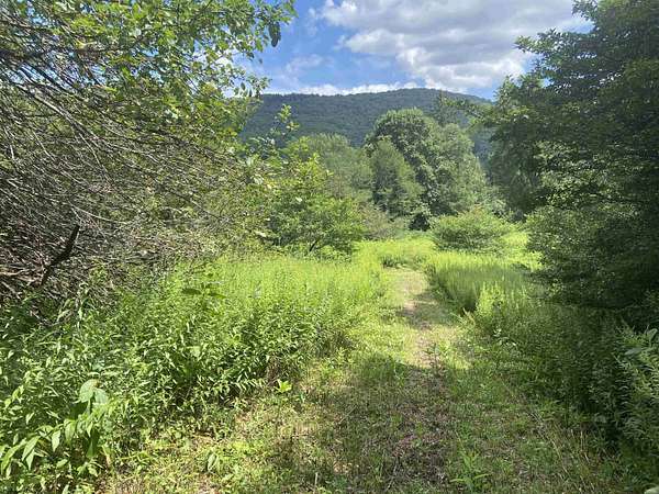 5 Acres of Land for Sale in Slaty Fork, West Virginia