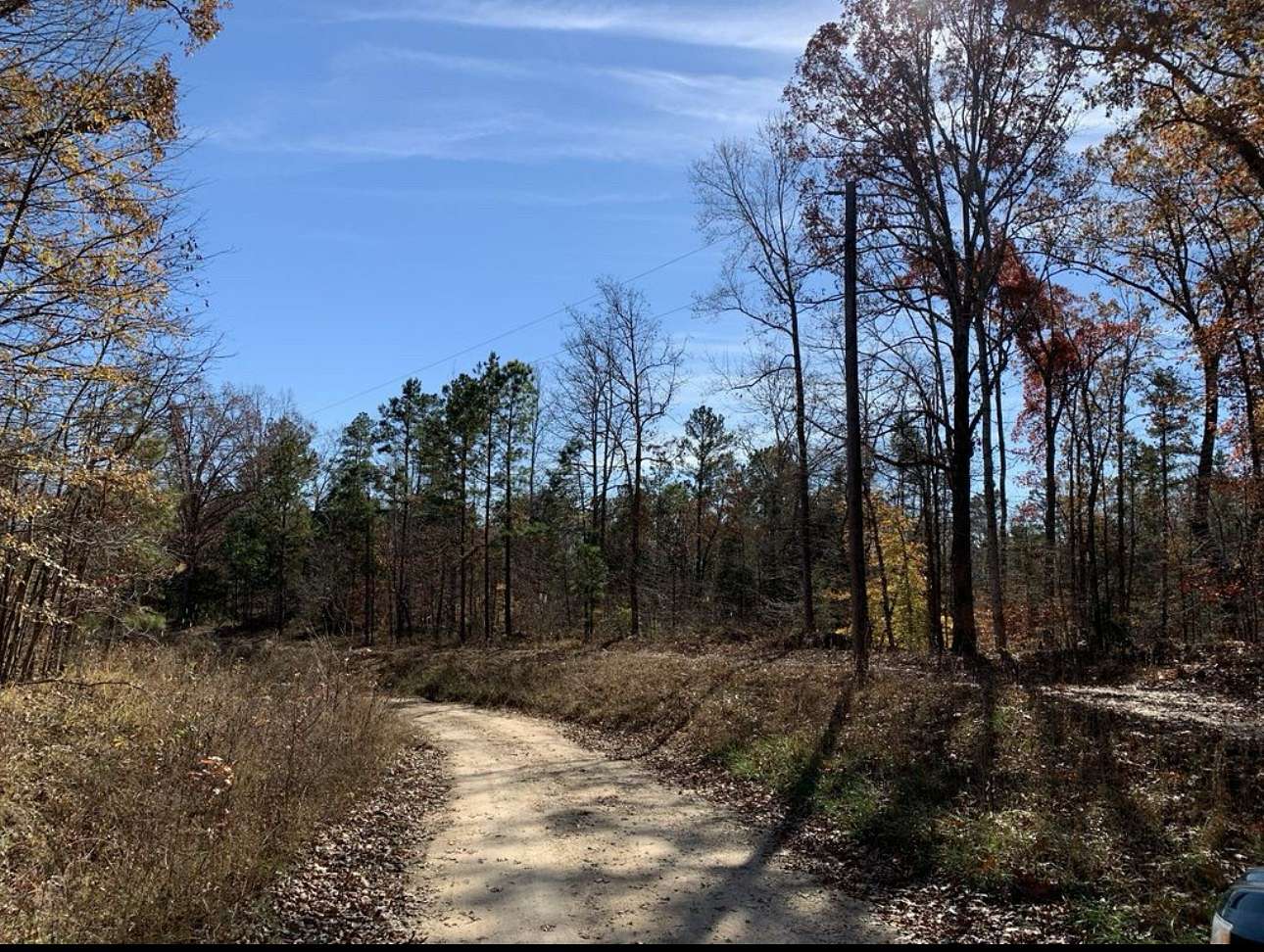 118 Acres of Recreational Land for Sale in Medon, Tennessee