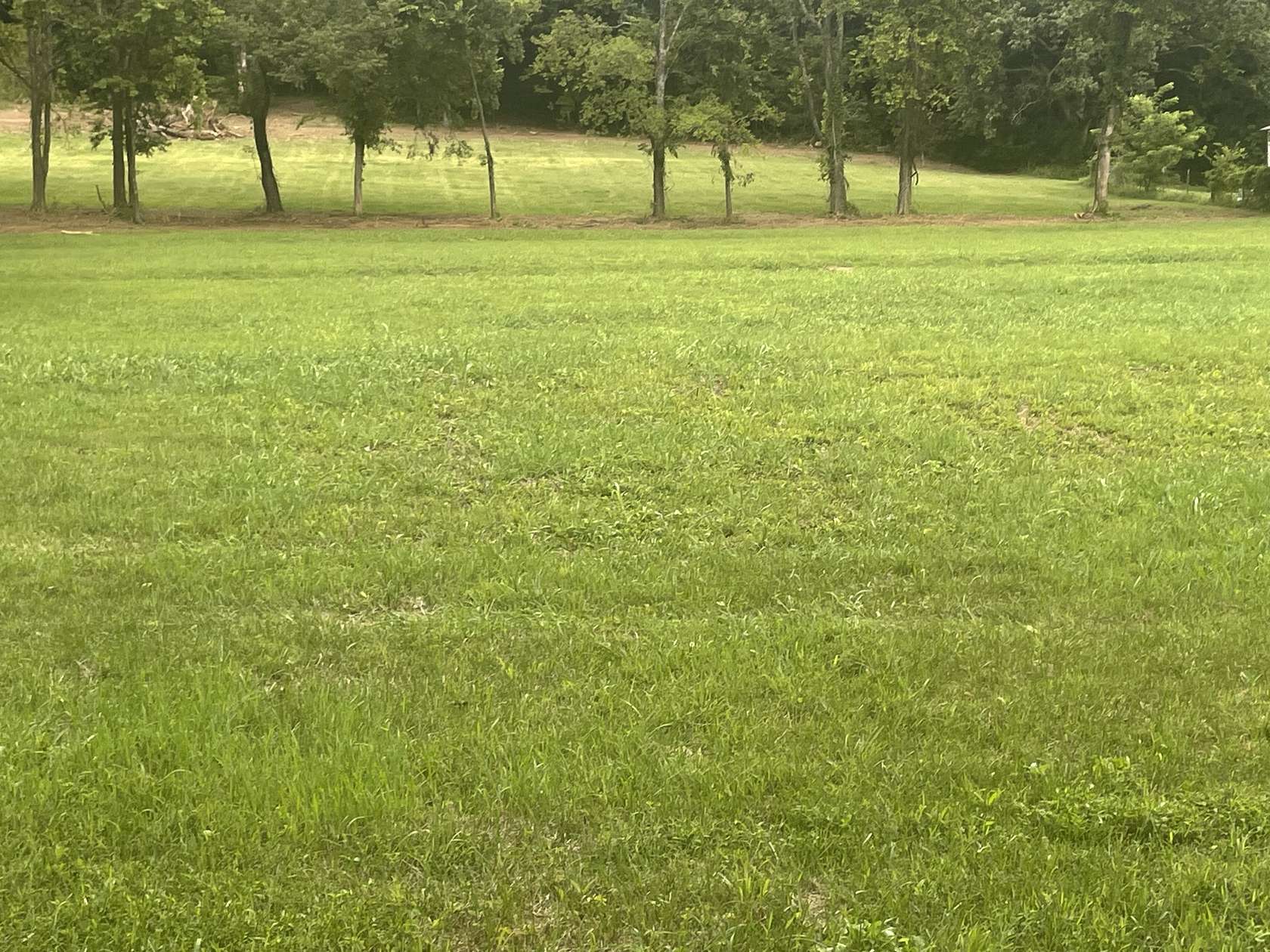 5 Acres of Residential Land for Sale in College Grove, Tennessee