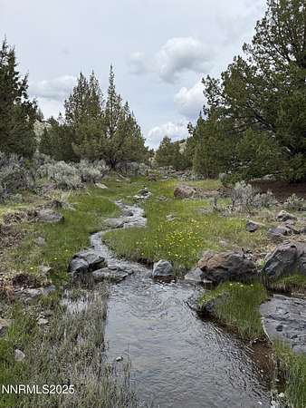 80 Acres of Recreational Land for Sale in Gerlach, Nevada