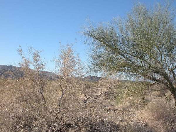 10 Acres of Recreational Land for Sale in Coachella, California