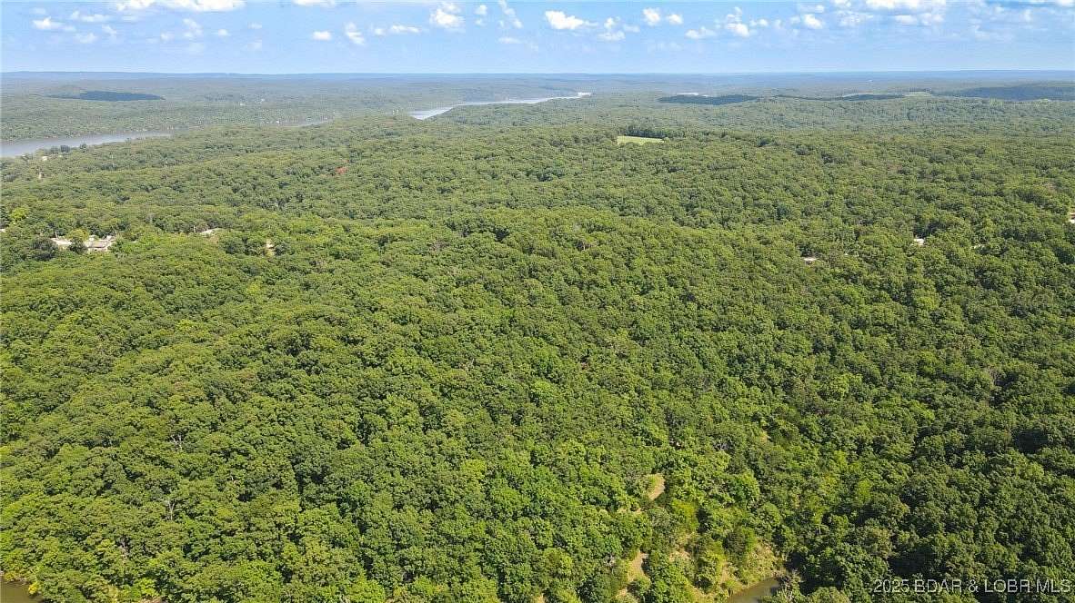 18.6 Acres of Recreational Land for Sale in Edwards, Missouri