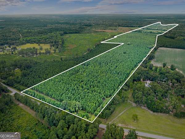 218 Acres of Recreational Land for Sale in Statesboro, Georgia