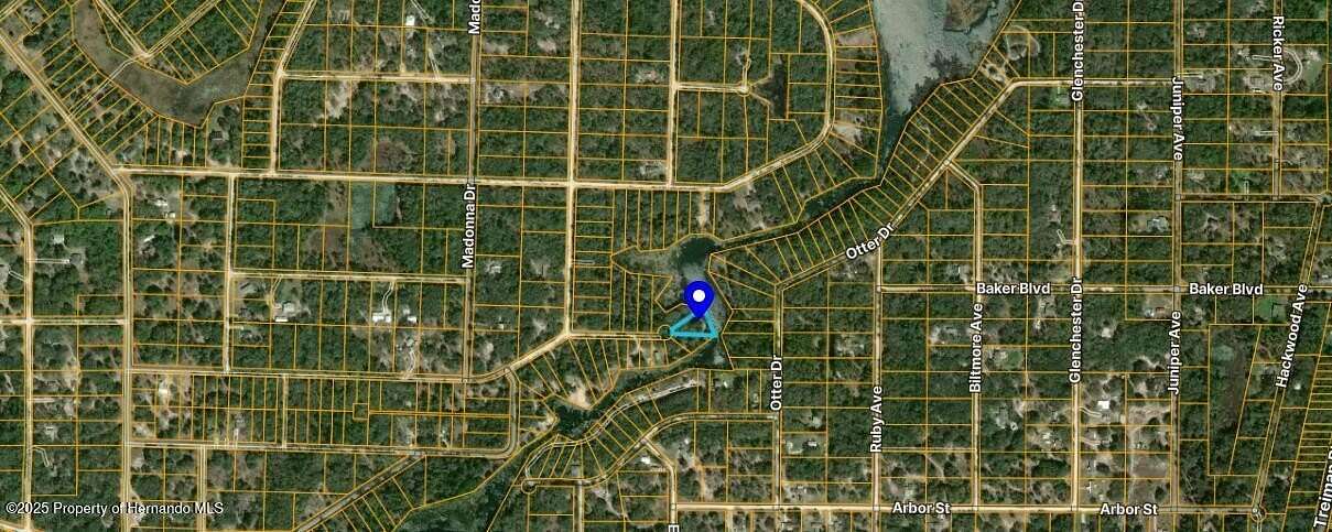 0.7 Acres of Residential Land for Sale in Webster, Florida