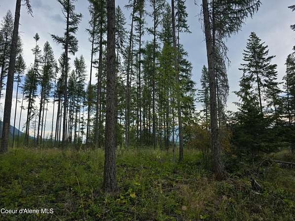 27.7 Acres of Recreational Land for Sale in Bonners Ferry, Idaho