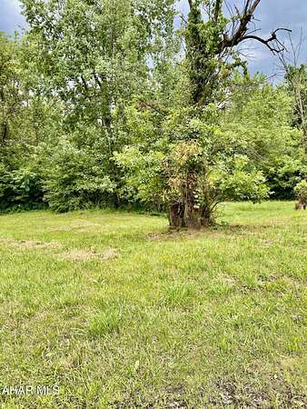 0.33 Acres of Mixed-Use Land for Sale in Altoona, Pennsylvania