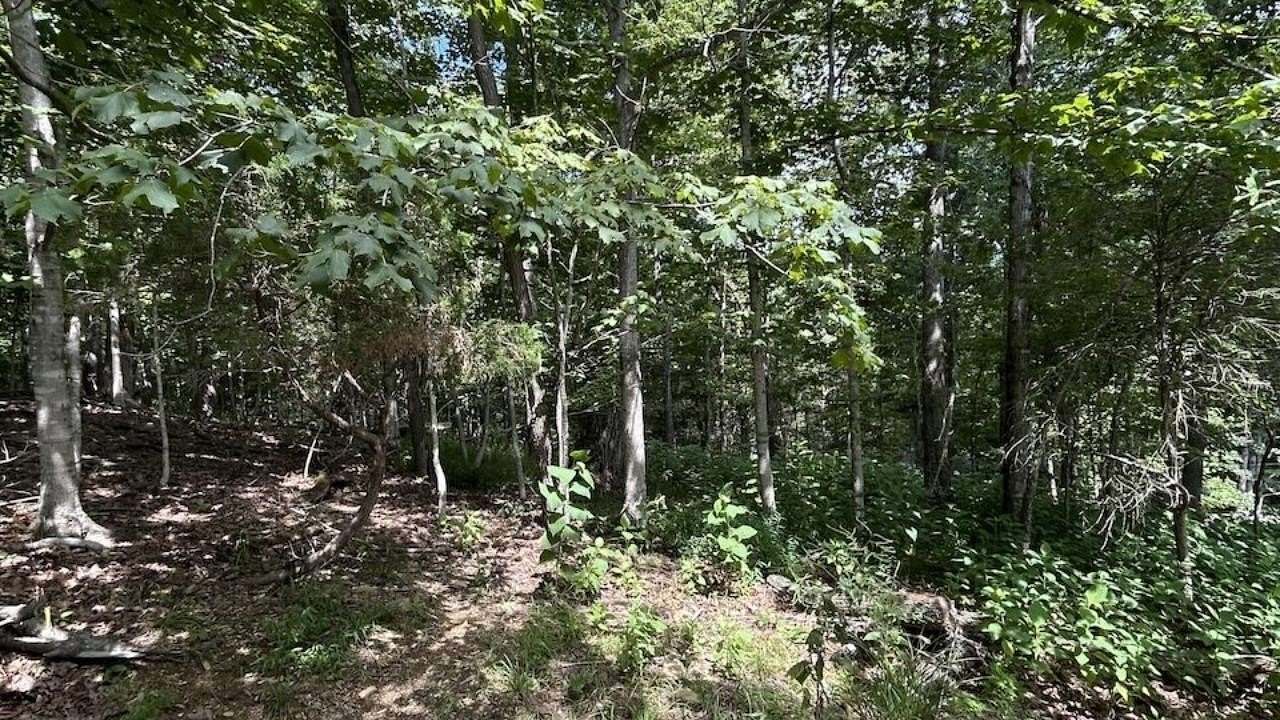 0.78 Acres of Residential Land for Sale in Blacksburg, Virginia