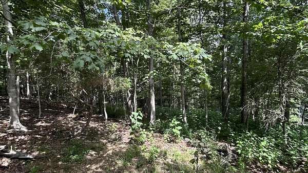 0.78 Acres of Residential Land for Sale in Blacksburg, Virginia