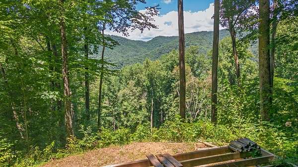 2 Acres of Residential Land for Sale in Ellijay Township, North Carolina