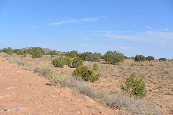 39.4 Acres of Recreational Land for Sale in Snowflake, Arizona
