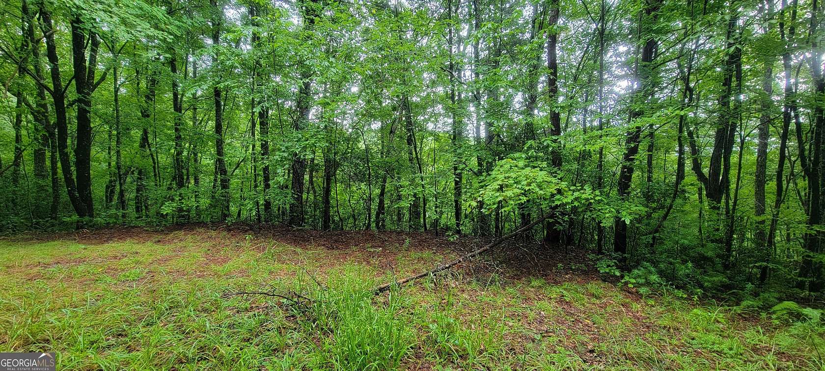 0.98 Acres of Residential Land for Sale in Tiger, Georgia